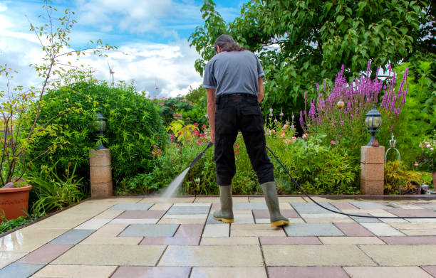 Best Driveway Pressure Washing  in Ofallon, IL